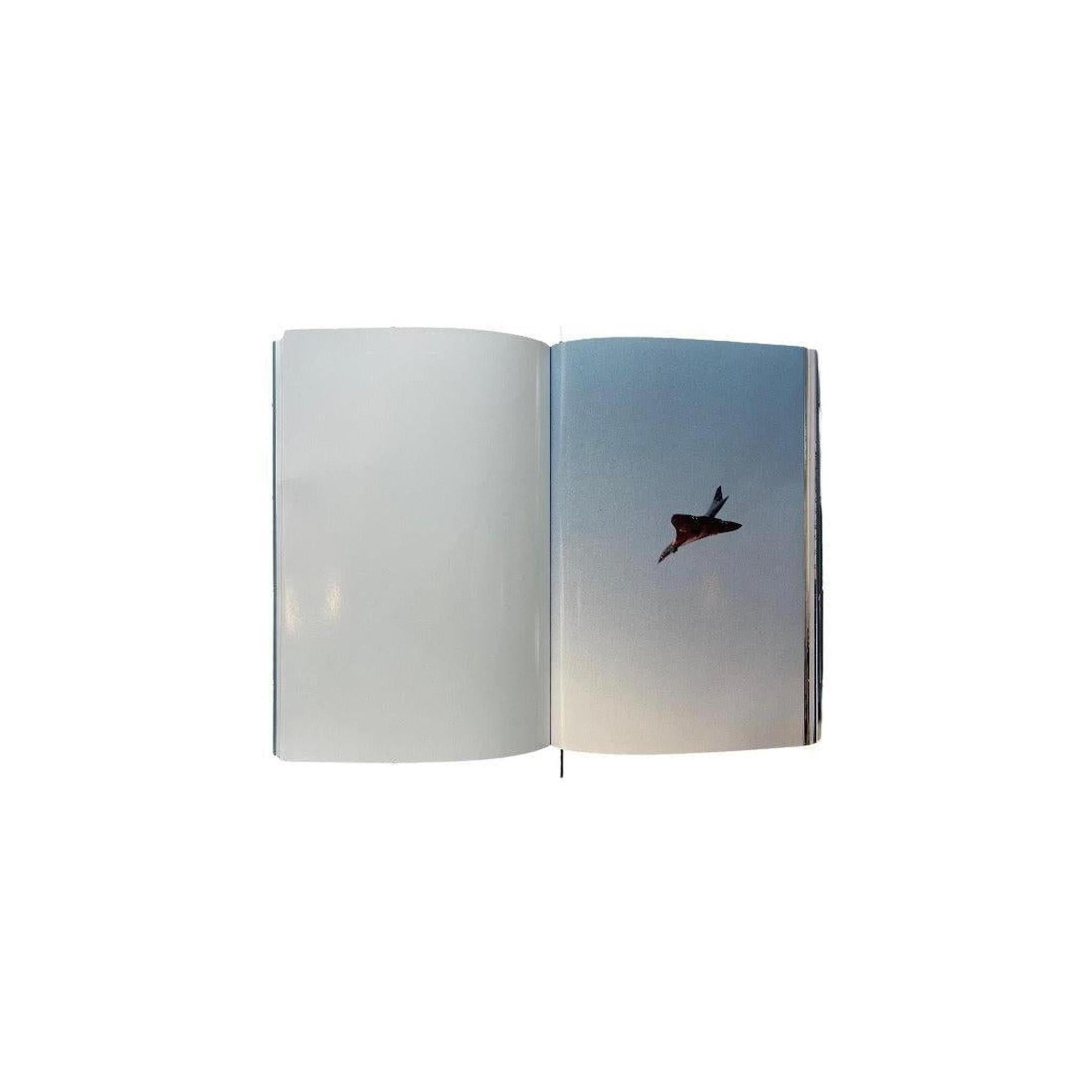 CONCORDE / WOLFGANG TILLMANS