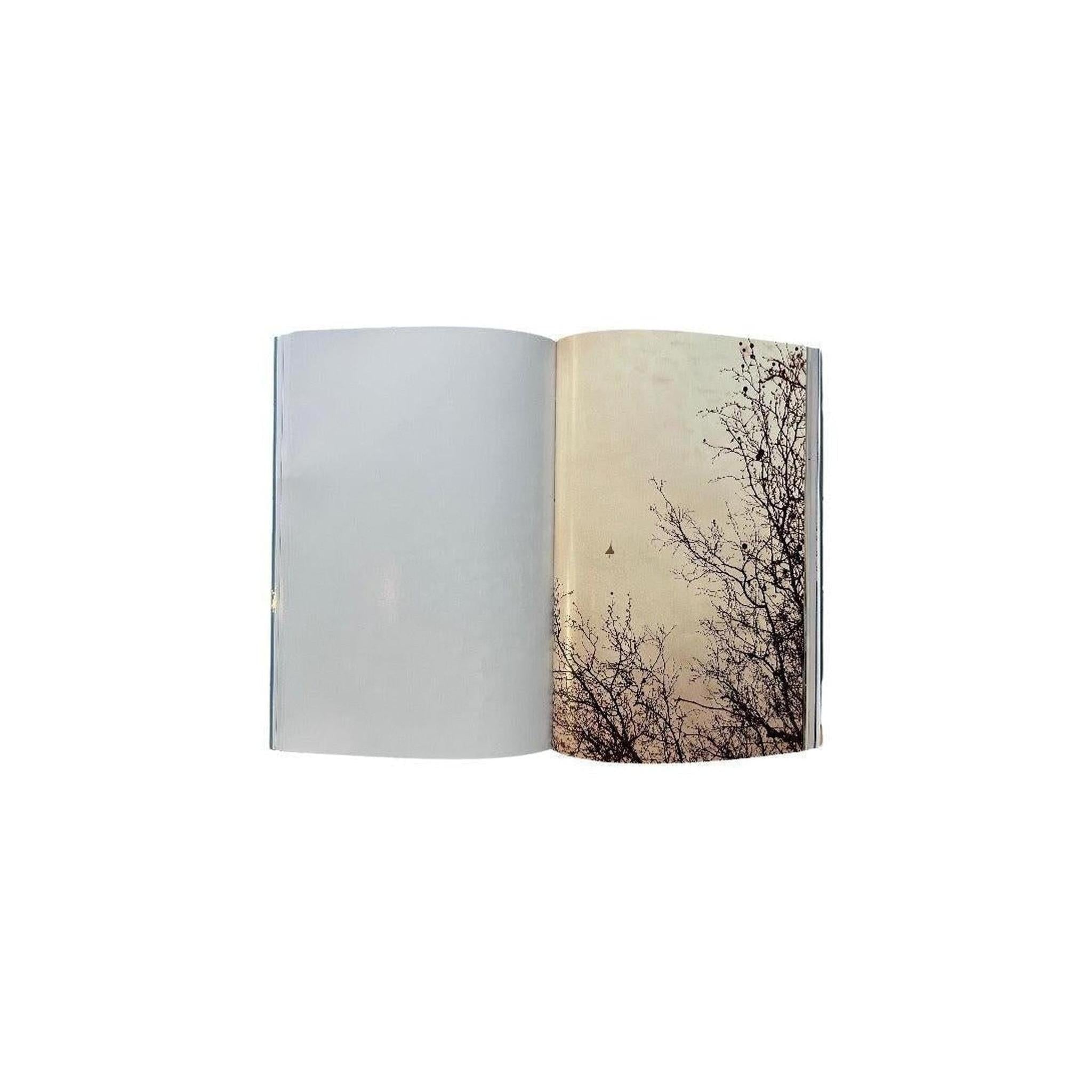 CONCORDE / WOLFGANG TILLMANS