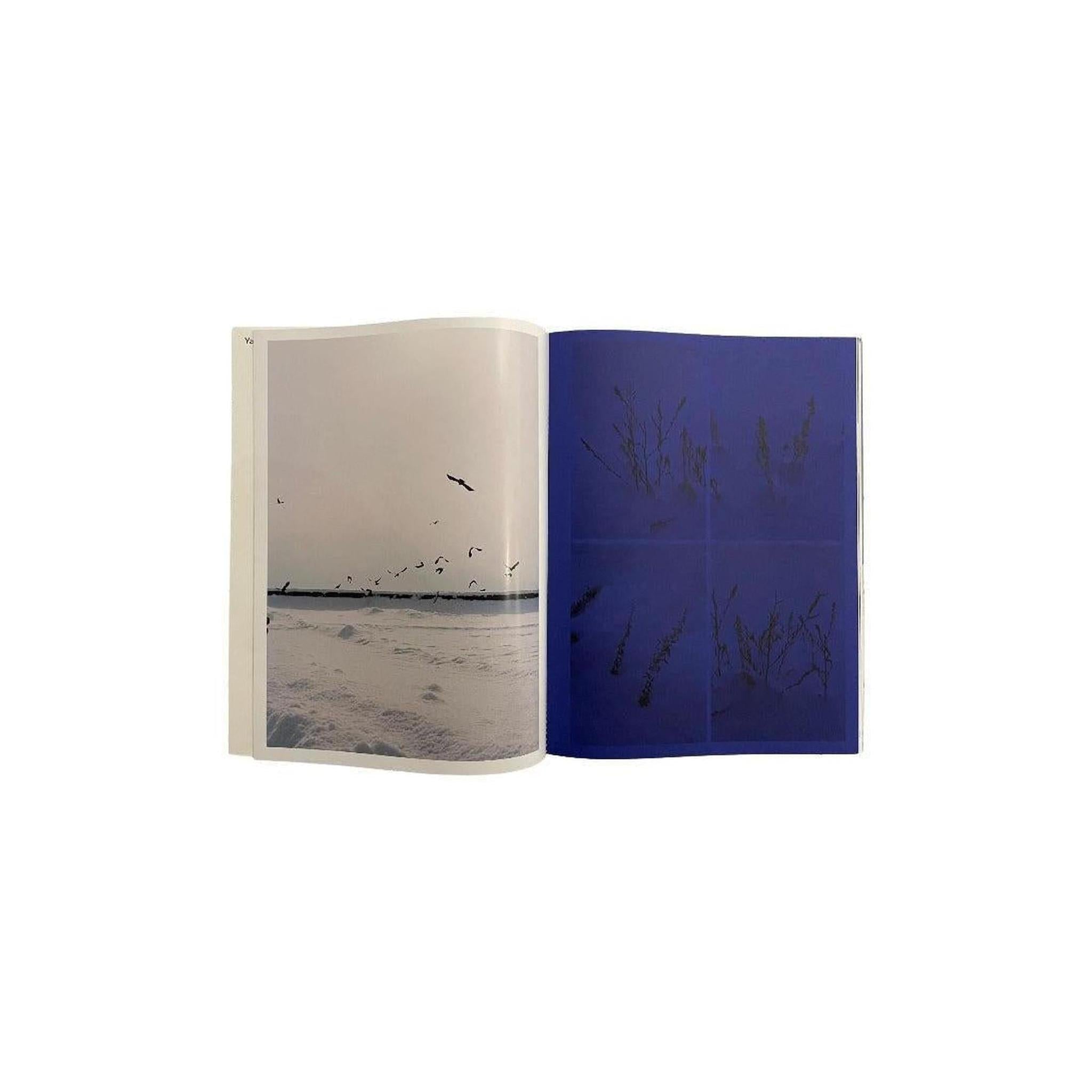HOKKAIDO IS BLUE, WHITE AND GOLD (SIGNED COPY)