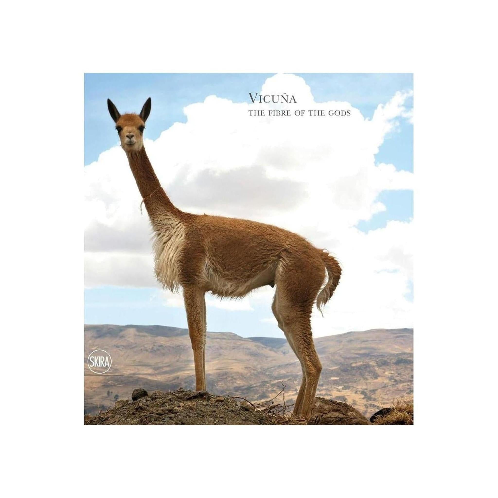 VICUNA: THE QUEEN OF THE ANDES