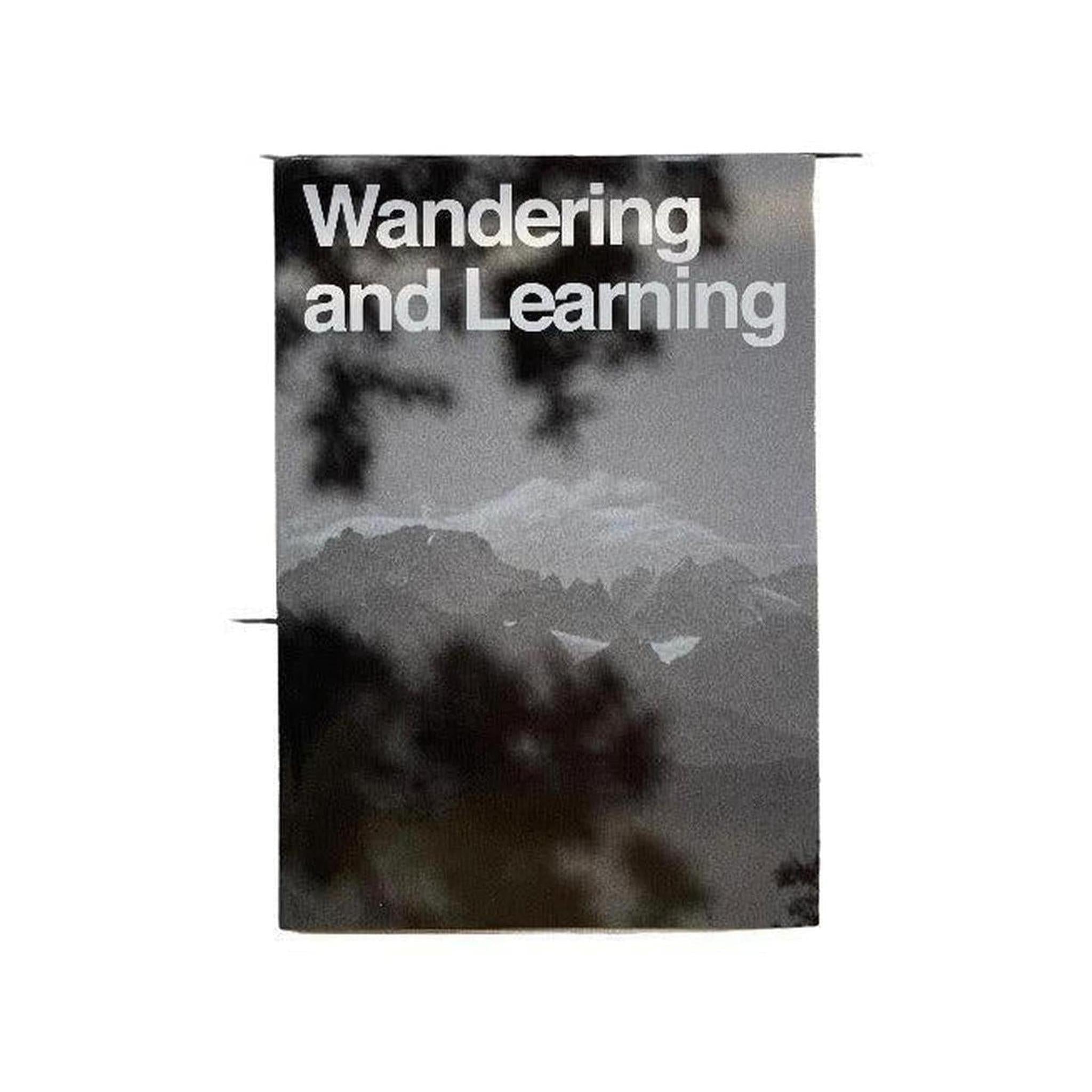 WANDERING AND LEARNING