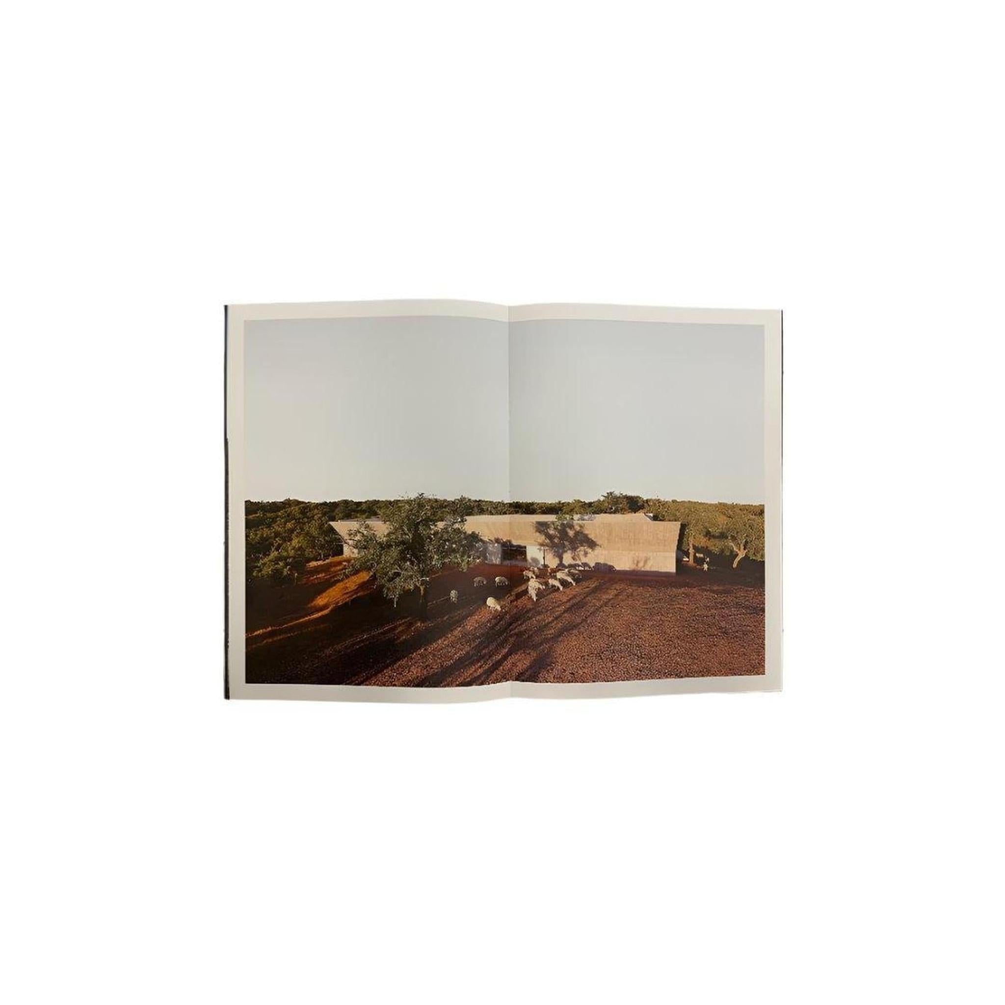 VALERIO OLGIATI / VILLA ALEM